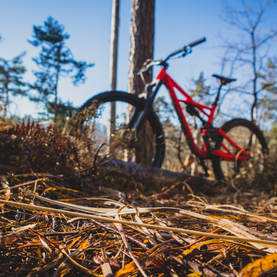 Die schönsten Fahrradtouren durch die Oberpfalz.