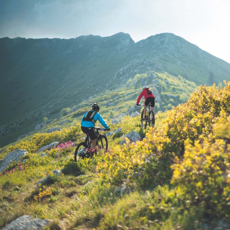 Fully oder Hardtail: Was ist besser bei Rückenschmerzen?