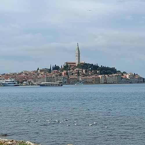 Warum Rovinj das perfekte Ziel für Fahrradfahrer und Urlauber gleichermaßen ist