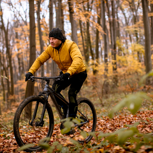 Die Geheimnisse des Herbstfahrradfahrens enthüllt