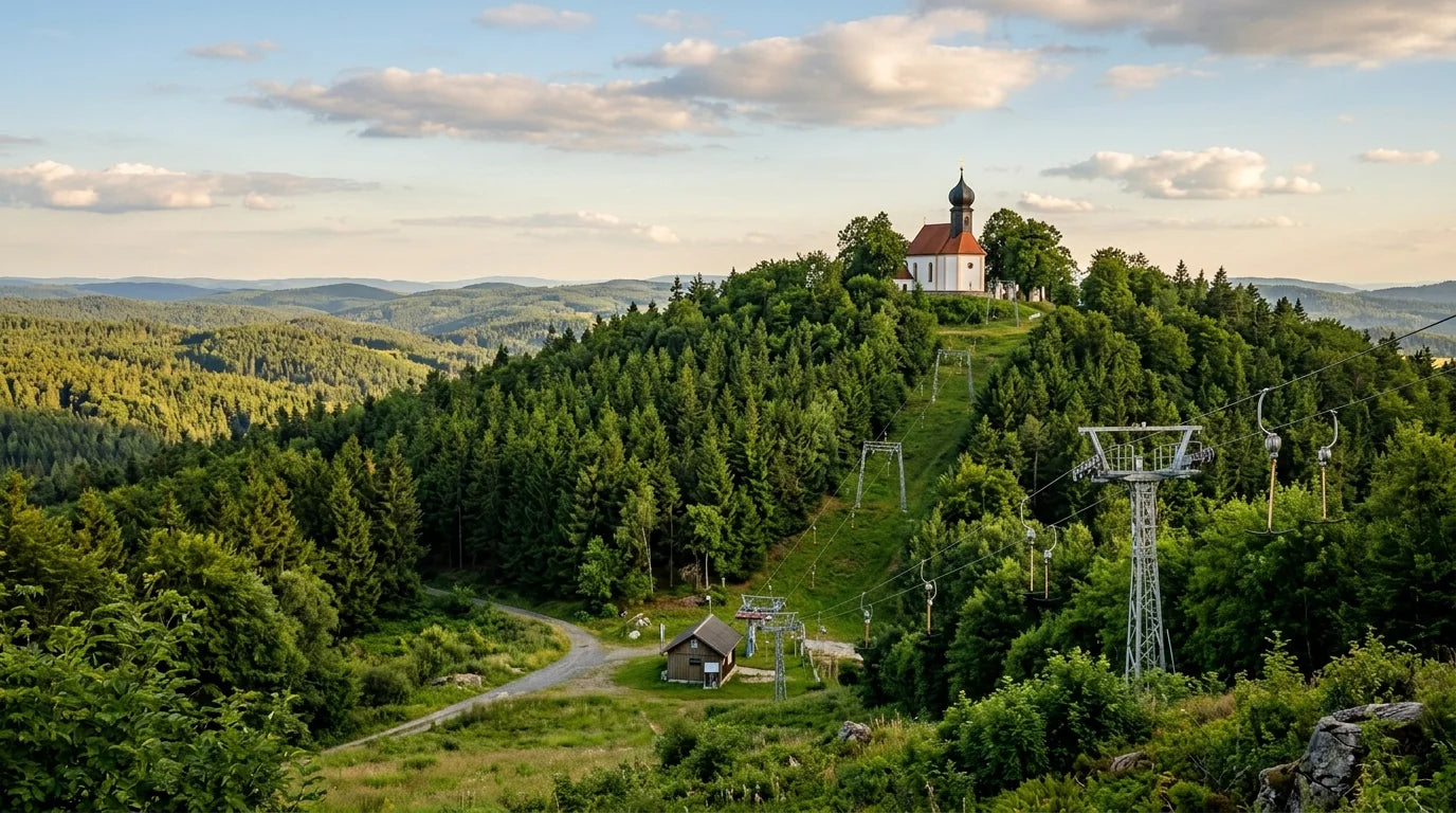 Bewaldeter Gipfel des Fahrenberg mit Wallfahrtskirche und Skilift - Trailcenter Fahrenberg Oberpfalz