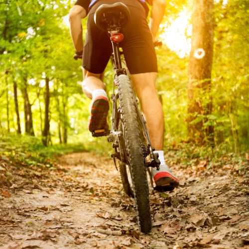 Fahrradkette kaputt: Ursachen, Reparatur und Pflege-Tipps